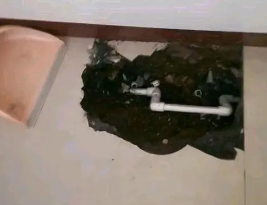 弥勒卫生间测漏水多少钱